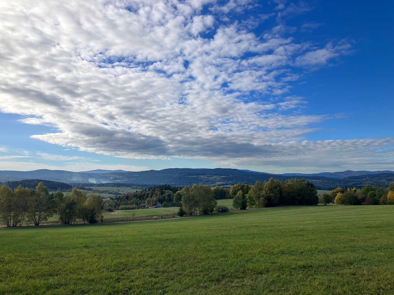 placeholder image sq