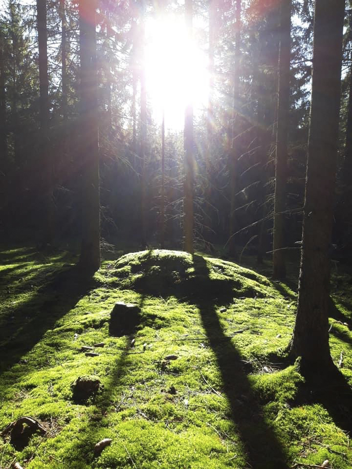 placeholder image sq